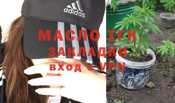 гидра Арсеньев