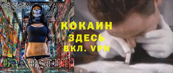 ешки Алзамай
