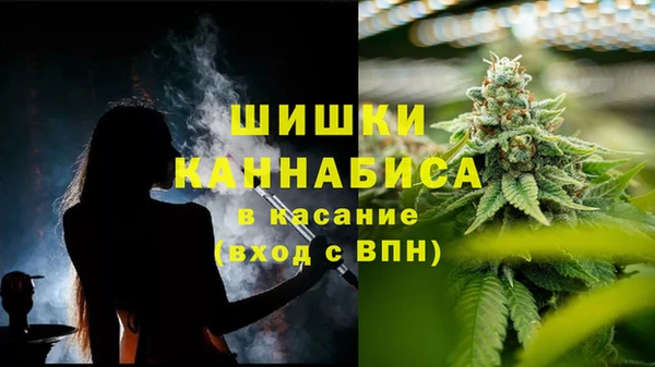 ешки Алзамай