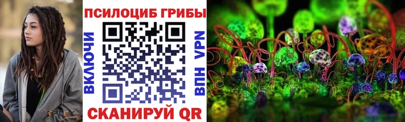 Псилоцибиновые грибы Psilocybine cubensis  МЕГА маркетплейс  Калининск  где найти  